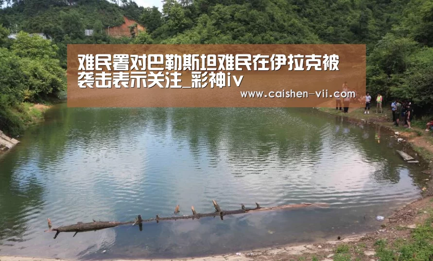 难民署对巴勒斯坦难民在伊拉克被袭击表示关注_彩神iv(图1) 彩神iv官网