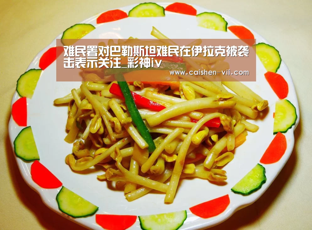 难民署对巴勒斯坦难民在伊拉克被袭击表示关注_彩神iv(图4) 彩神iv