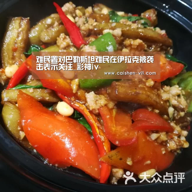 难民署对巴勒斯坦难民在伊拉克被袭击表示关注_彩神iv(图3) 彩神iv走势分析