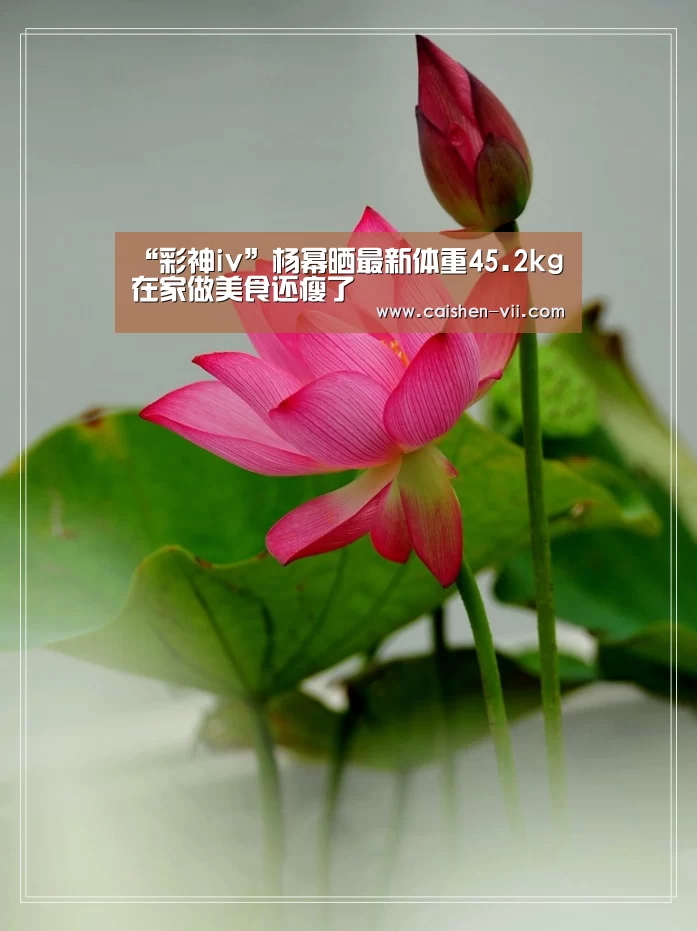 彩神iv走势分析