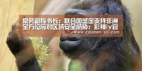 彩神iv走势分析