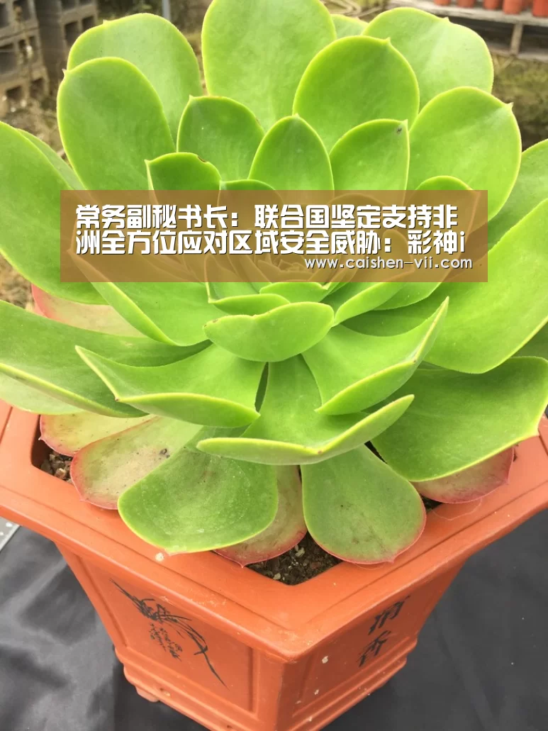 彩神iv开奖查询