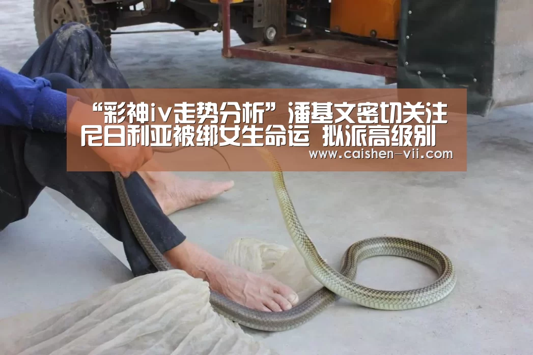 “彩神iv走势分析”潘基文密切关注尼日利亚被绑女生命运 拟派高级别代表协助尼应对挑战(图1) 彩神iv走势分析