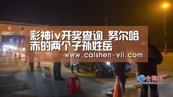 彩神iv开奖查询_努尔哈赤的两个子孙姓岳