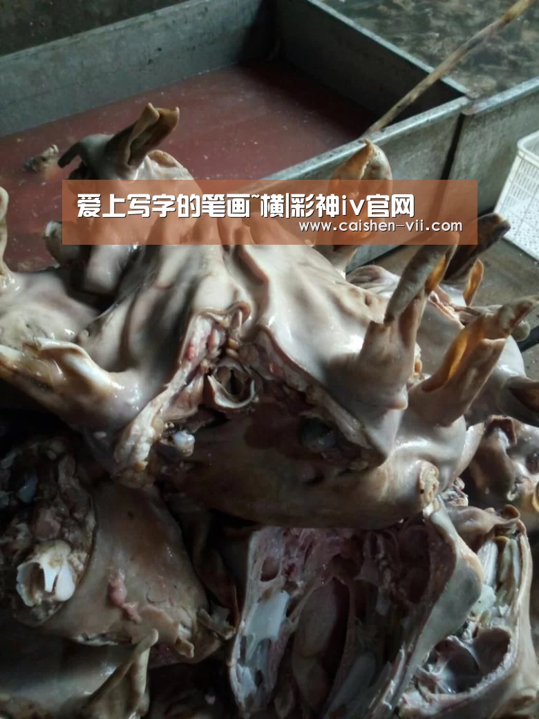 彩神iv官网