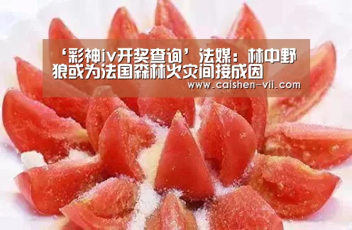 ‘彩神iv开奖查询’法媒:林中野狼或为法国森林火灾间接成因(图2) 彩神iv走势分析