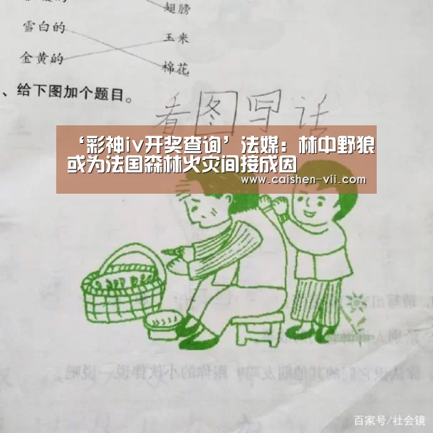 ‘彩神iv开奖查询’法媒:林中野狼或为法国森林火灾间接成因(图1) 彩神iv走势分析